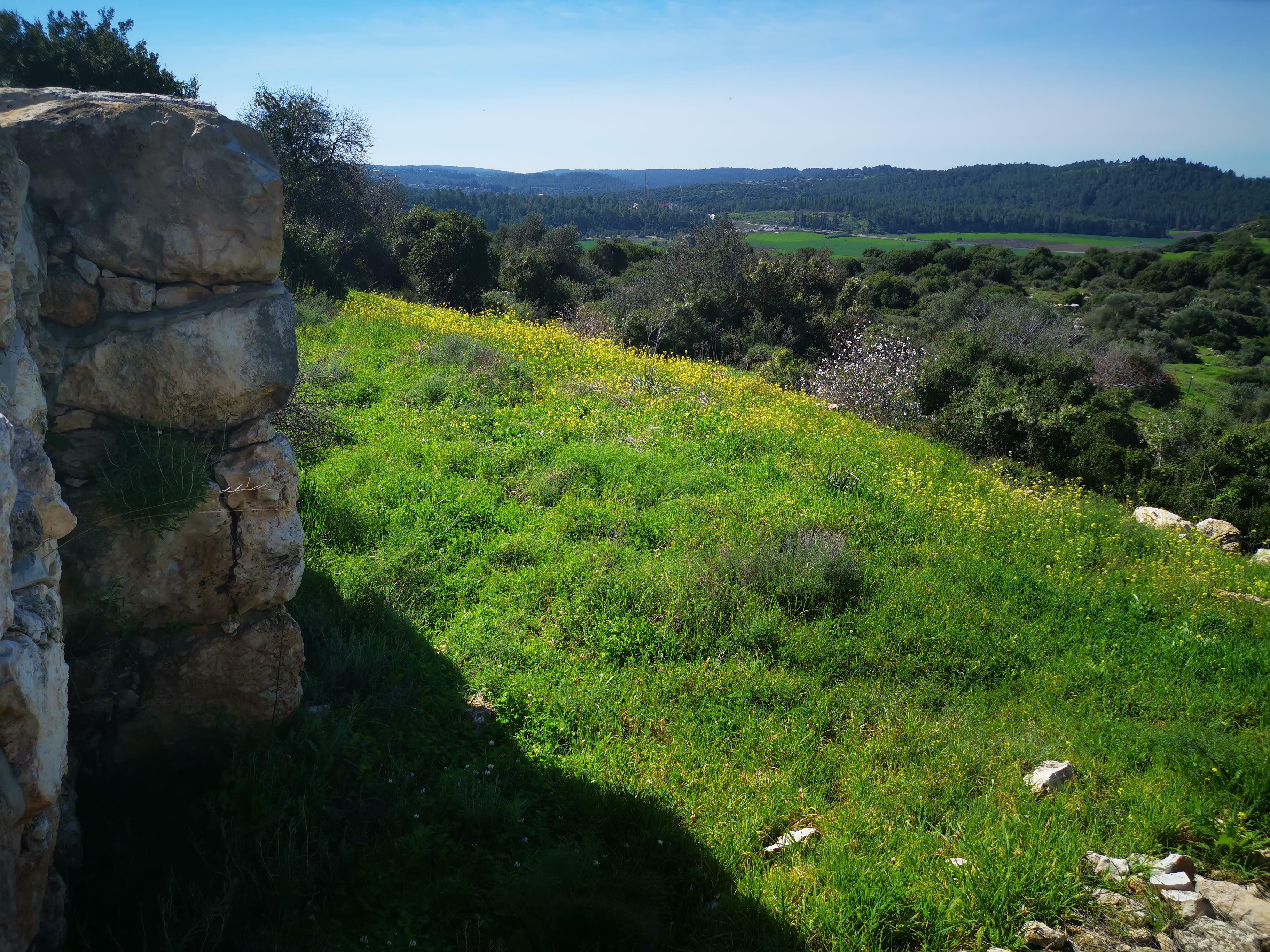 מי שמע על קייאפה? סיור ברוחבה ותעלומותיה