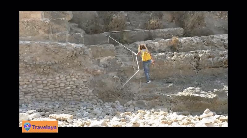 חוף תל דור בסיור עצמאי מודרך: מתאים לכל השנה