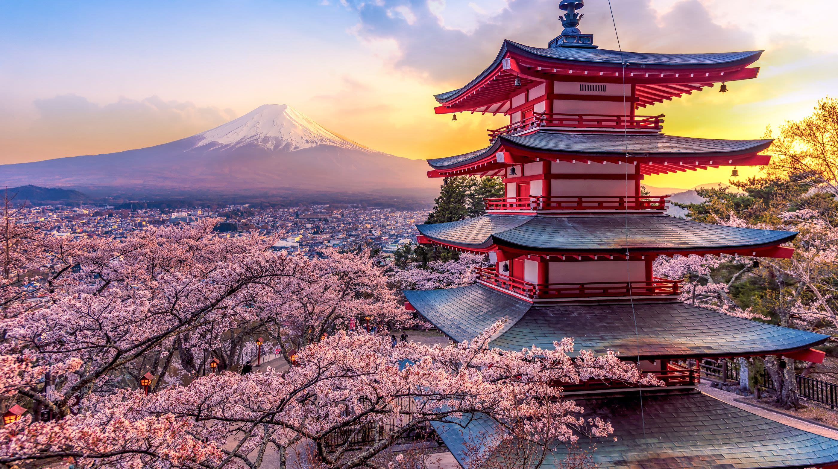 תמר פול כהן: יפן - הכי מוזר הכי שונה והכי אחר