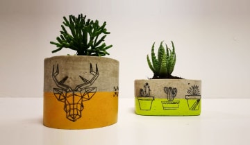 Mix Match סדנת בטון מדליקה Funzing