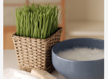 Charity Wellness Fundraiser by Sane and PHLOAT