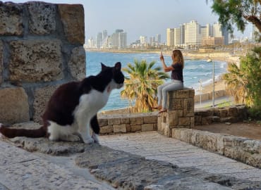 הסדנה שתקפיץ את רמת הצילום שלכם: שוק הפשפשים-יפו העתיקה