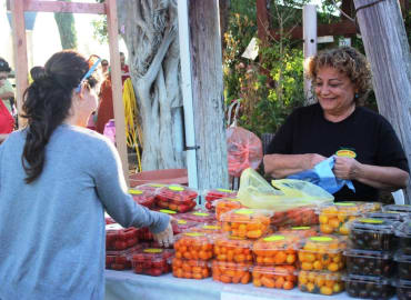 שוק חקלאות חברתית ישירה- מהחקלאי לצרכן ללא פערי תיווך
