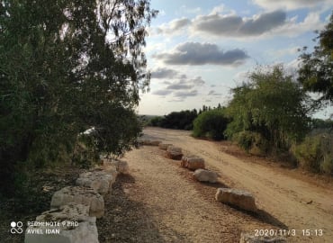 מניצנים ועד ניצן: סיור מרתק בקיבוץ ניצנים