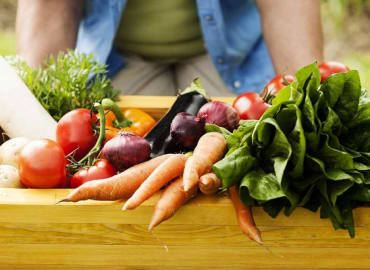 פשוט לגדל: סדנת מבוא לגן הירק הביתי