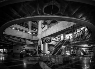 אל סודותיו של הפיל הלבן: סיור עומק בתחנה המרכזית בת"א