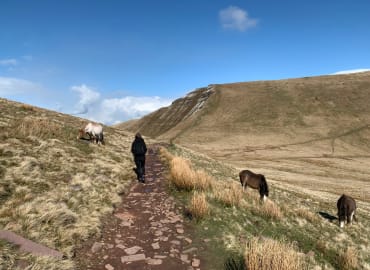 Get Out! Mindfulness Retreat Day