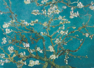 PopUp Painting: Paint Van Gogh!