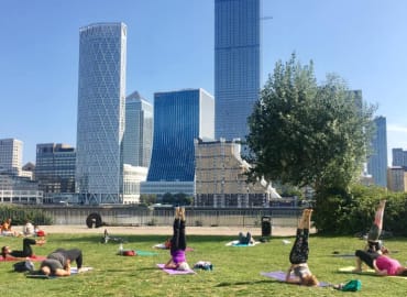 Summer Solstice Yoga & Meditation