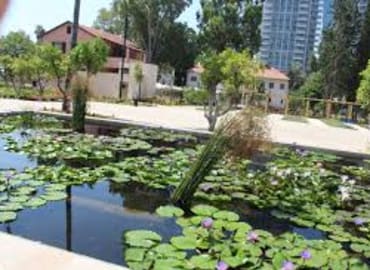 הצטרפו לסיור עירוני של שישי בבוקר בשרונה המתחדשת