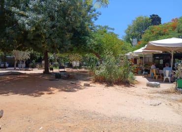 שכונת שפירא - כפר בתוך עיר