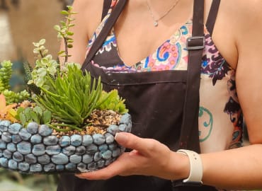 סדנת יצירה בבטון בשילוב צמחייה עמידה ויפה