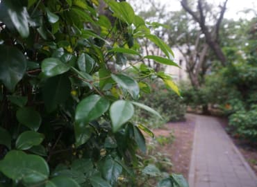 לגלות את מעוז-אביב: הקיבוץ הסודי של תל אביב