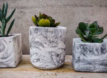 חגיגת שבועות: סדנת עיצוב בבטון בליווי גבינות ויין