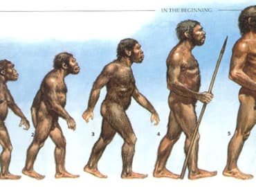 בואו לשמוע על תורת האבולוציה בעידן המודרני עם ד"ר ארז גרטי