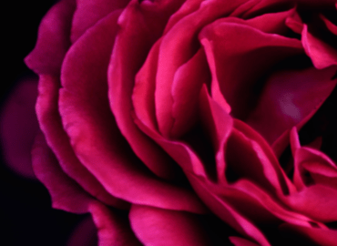 Learning How to Love Workshop