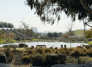 פסטיבל סאמסאנה Samsana Festival