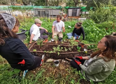 גידול אוכל ביתי: סיור ולימוד מערכות קומפוסט וירקות