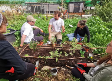 מהאדמה לצלחת: קורס מעשי לחקלאות מחדשת