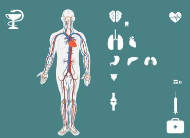 תחושת בטן: כך חיידקים משפיעים על המוח וההתנהגות שלכם