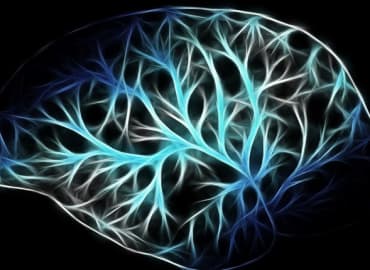 Reprogram Your Brain - An Intro To NLP | Manchester