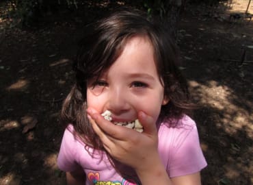 פופסטיבל - פסטיבל הפופקורן הראשון בישראל