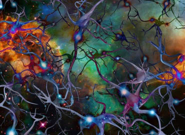 Funzing Talks |Neuroscience of Powerful Habits