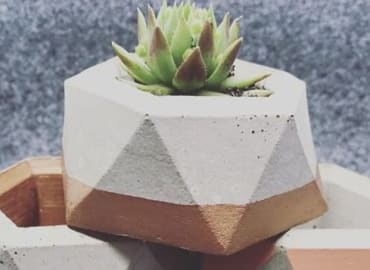 Concrete Planter Making Workshop
