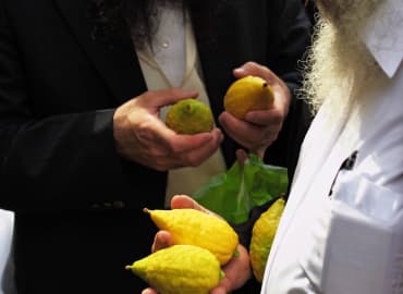 סוכות ברחוב החרדי: סיור חגיגי בהפנינג הכי ירוק בעיר
