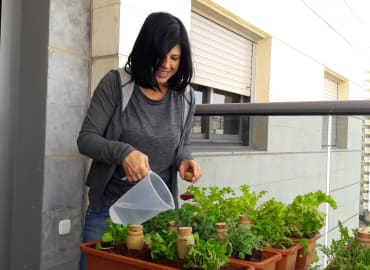 סדנה לגידול צמחי מאכל אורגניים ב- 100% הצלחה!