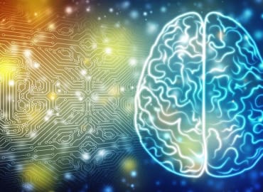 ד"ר קרן בן יצחק: סיפורים קצרים ומפתיעים על המוח