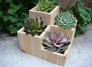 בואו ליצור בעץ אדניות מדרגה בסדנת נגרות מיוחדת