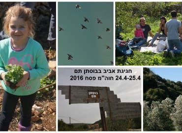 חגיגת האביב בבוסתן תם- חוות מקורה
