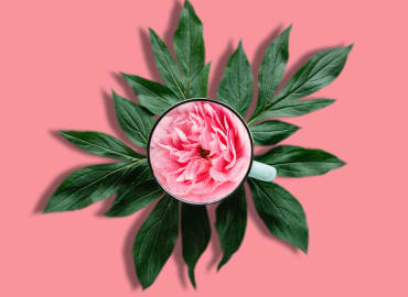 FERTILITY + PREGNANCY - THE HERBAL REMEDY