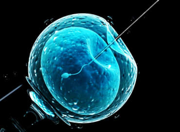 האם הגנים הם גורל? על נפלאות הגנום האנושי