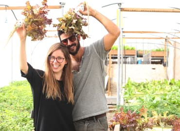 סדנת גידול ירקות בבית ללא אדמה! על גג דיזנגוף סנטר