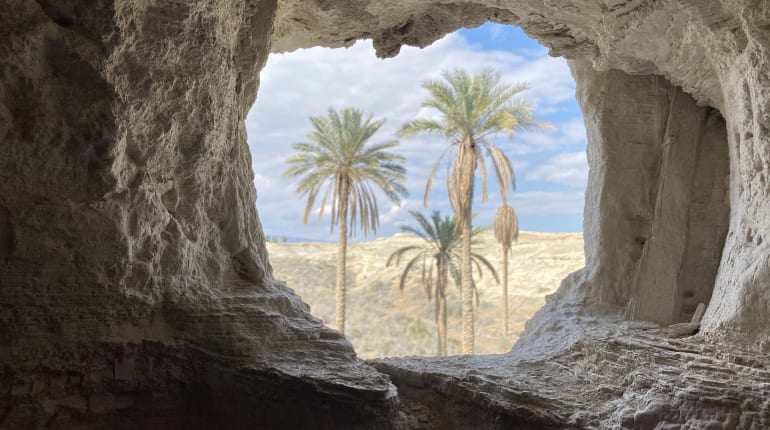 ספיישל יום הבחירות: טיול ברכבים למדבר יהודה - Funzing