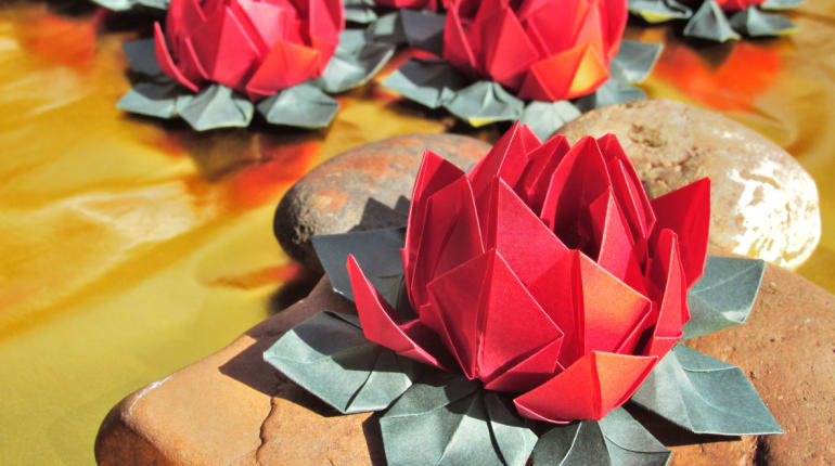 Learn how to make your own origami lotus Funzing