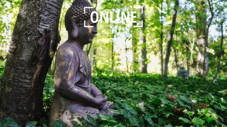 Mirrors of Reality: Live Online Meditation Course 