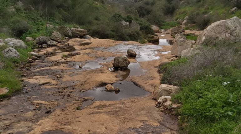 קרוב ולא מוכר: טיול בנחל אלכסנדר שלא הכרתם