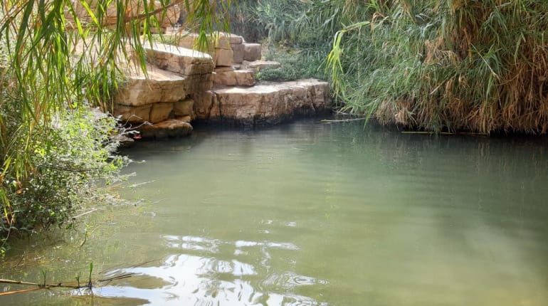 בריכות ומפלים: טיול מים מרענן בוואדי קלט