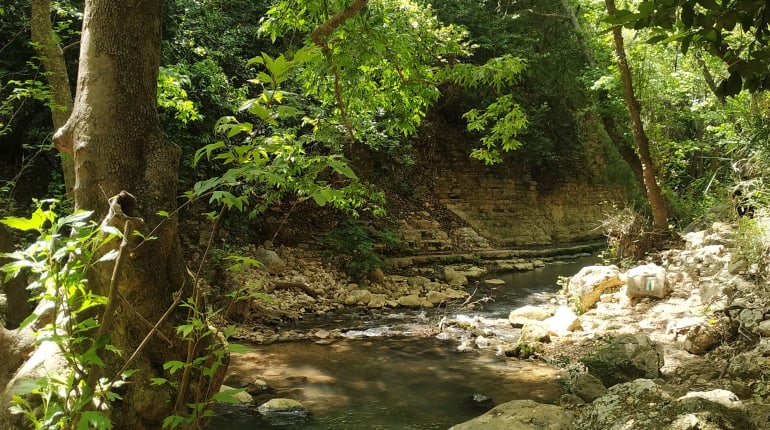 אל נחל כזיב - טרק גלילי קיצי