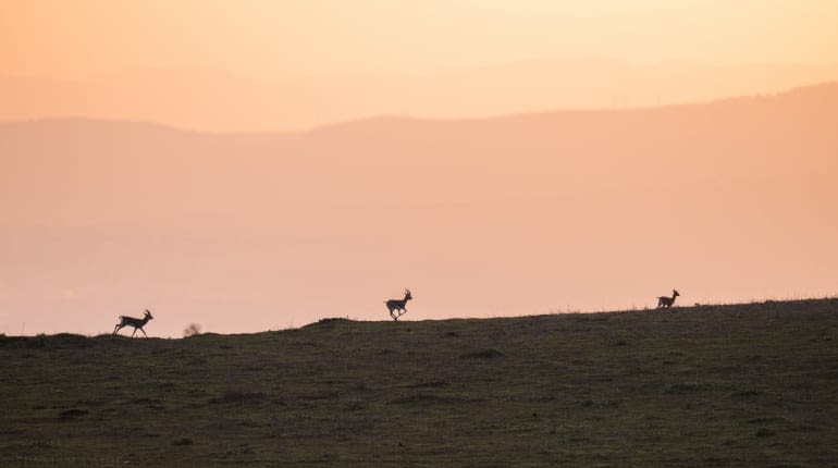 טיול נוף מרהיב לכל המשפחה ברמת הגולן