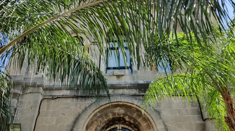 חיפה בין שתי תחנות הרכבת