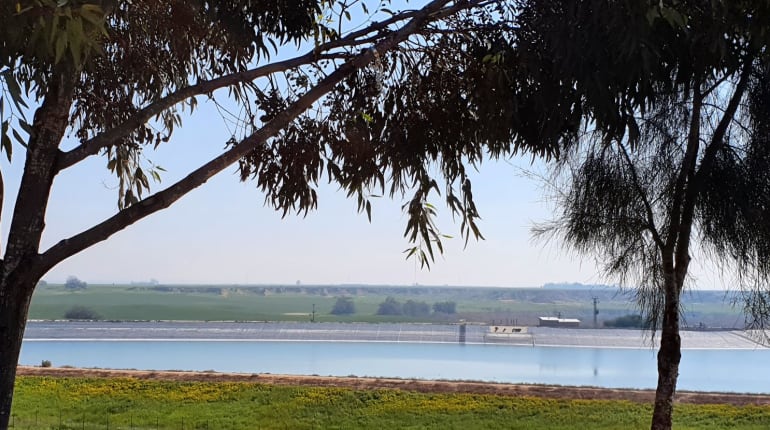 סודות מדבר: אתרים ומקורות מים לאורך נחל הבשור
