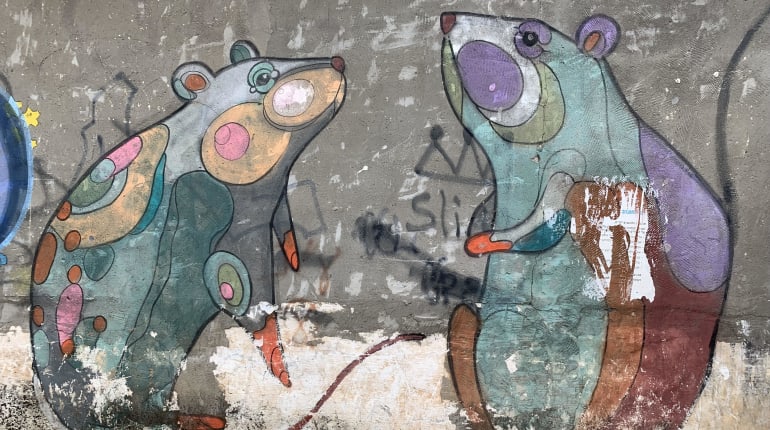 מאה שנים לשכונת נווה שאנן: סיור לסקרנים ולמציצנים...