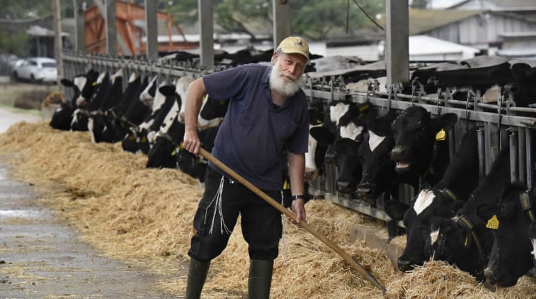 האחרון בעולם: סיור מרתק ביישוב חרדי, שיתופי וחקלאי