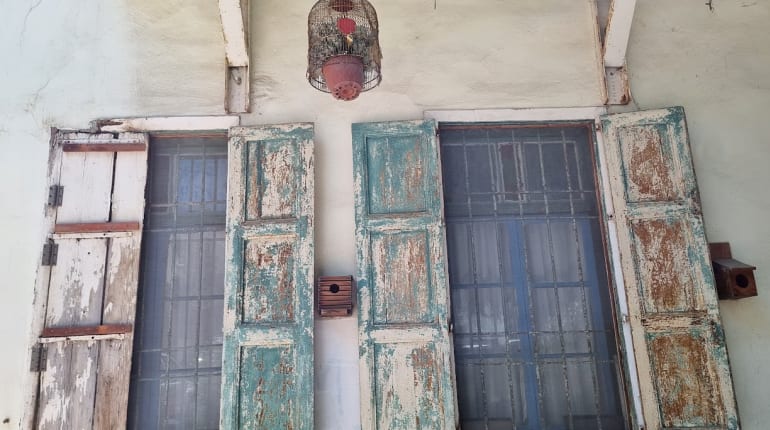 צילום בעין טובה: סדנה לצילום בכרם התימנים