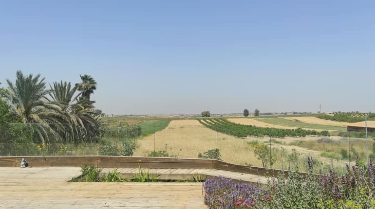 סופ"ש נשי בנגב בעקבות הספר 'רצות עם זאבים'