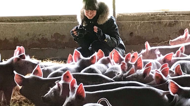 מאחורי החזיר: הקרנת "מכתב לחזיר" והרצאה על תהליך היצירה